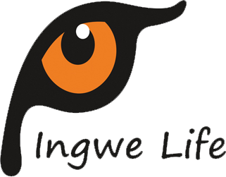 Ingwe Life Demo logo