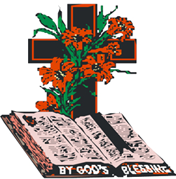 Nzhelele Funerals logo